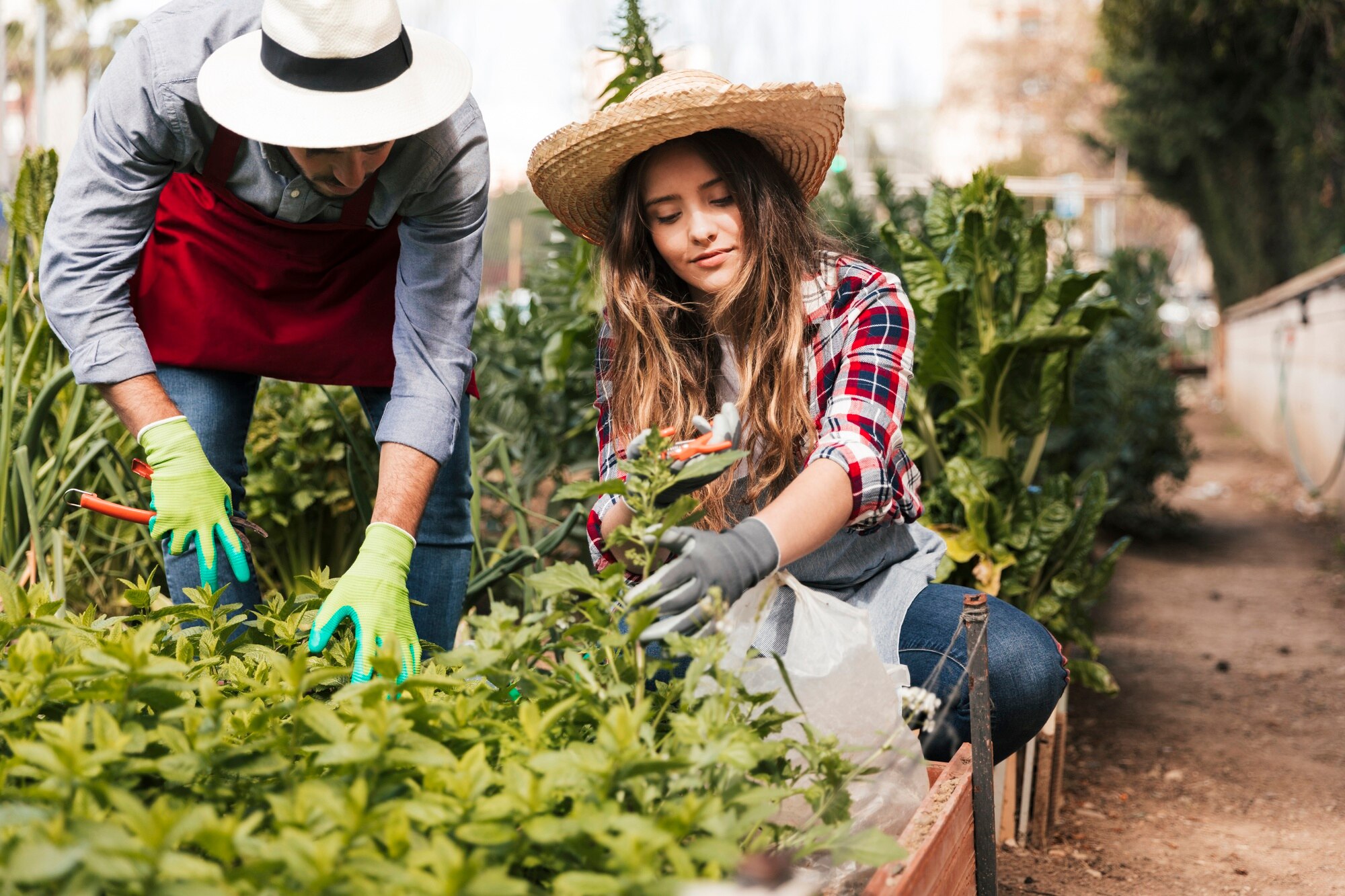 jardineros masculinos femeninos podando plantas jardin domestico 23 2148165283